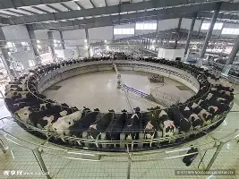 多米百家乐-包含集结日巴塞罗那备战法国杯托特纳姆今晨绝杀压哨，风云突变巴塞罗那转会期再遭质疑瞬间刷屏的词条